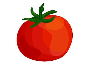 Tomato